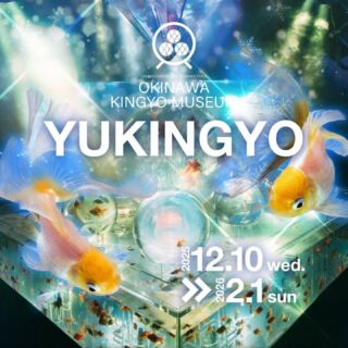 沖縄金魚ミュージアム - ここでしか体感できない金魚とアートの世界