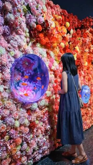 沖縄金魚ミュージアム - ここでしか体感できない金魚とアートの世界