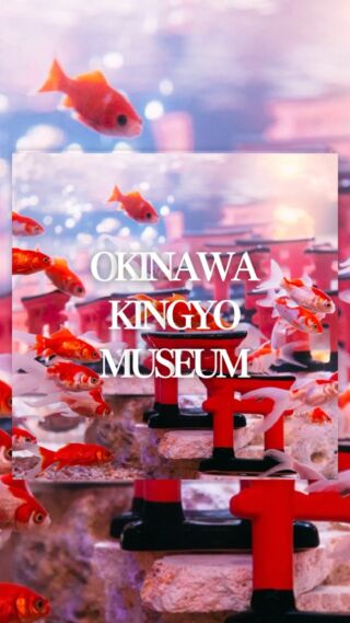 沖縄金魚ミュージアム - ここでしか体感できない金魚とアートの世界